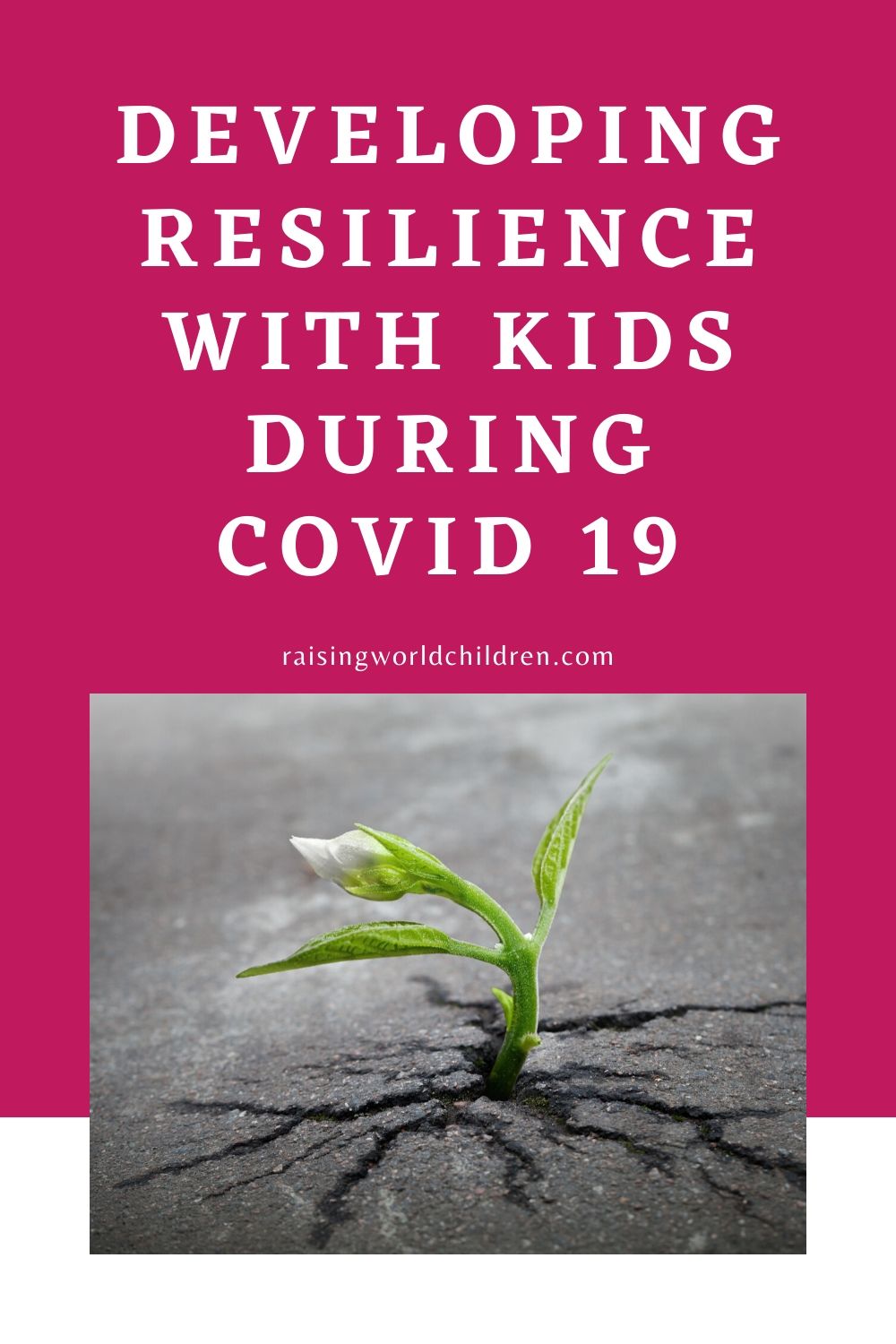 Developing Resilience with Kids during Covid 19